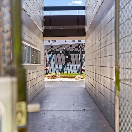 Avenida Apartment Tampa Exterior photo